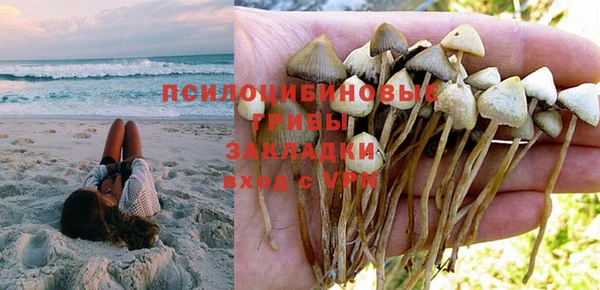 экстази Арсеньев