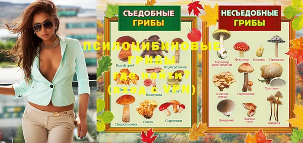 экстази Арсеньев