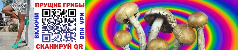 Псилоцибиновые грибы Magic Shrooms  Холмск 